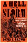 David S Brown: A Hell of a Storm, Buch