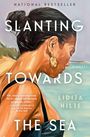 Lidija Hilje: Slanting Towards the Sea, Buch