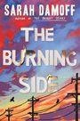 „SARAH DAMOFF“, „THE BURNING SIDE“, buntes Himmelsgemälde mit Stromleitungen und zwei Vögeln.