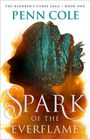 Penn Cole: Spark of the Everflame, Buch