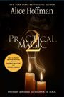 "Practical Magic 2: A novel" von Alice Hoffman. Zwei brennende Kerzen mit Rauch und Text über Verfilmung.