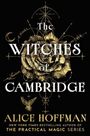 Alice Hoffman: Witches of Cambridge, Buch