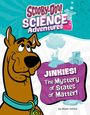 Ailynn Collins: Jinkies! the Mystery of States of Matter, Buch