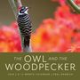 Paul Bannick: The Owl & the Woodpecker 2026, KAL