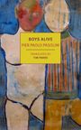 Pier Paolo Pasolini: Boys Alive, Buch