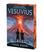 „The end is coming. The gods are watching. VESUVIUS.“ Zwei Menschen halten Hände, beobachten Vulkan Vesuvs Ausbruch.