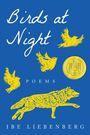 Ibe Liebenberg: Birds at Night, Buch