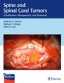 Andrew Fanous: Spine and Spinal Cord Tumors, Buch,Div.