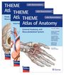 Drei Bücher mit blauen Covern, Titel "THIEME Atlas of Anatomy", zeigen anatomische Illustrationen von Gefäßen und Muskulatur.