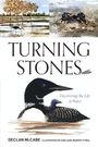 Declan McCabe: Turning Stones, Buch