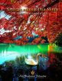 "SPIEGELBILDER DER SEELE, TERMINKALENDER 2027." Ein Schwan schwimmt in einem See unter roten Herbstblättern.