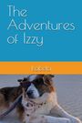 „The Adventures of Izzy“, „Isabela“. Ein Hund mit Sonnenbrille und Halstuch liegt entspannt im Sand.