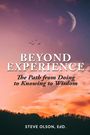 Steve Olson: Beyond Experience, Buch