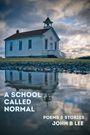 John B Lee: A School Called Normal, Buch