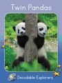 Pam Holden: Twin Pandas, Buch