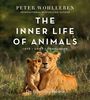Peter Wohlleben: The Inner Life of Animals, Buch