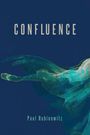 „CONFLUENCE“ und „Paul Rabinowitz“ auf blauem Hintergrund. Eine abstrakte Illustration in Türkis und Grün darunter.