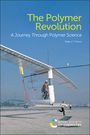 Peter J T Morris: The Polymer Revolution, Buch