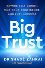 Philip Faysal Sekkouah: Big Trust, Buch