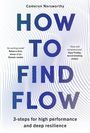 Cameron Norsworthy: How to Find Flow, Buch