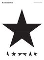 : David Bowie - Blackstar, Buch