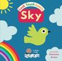 Child's Play: Sky, Buch
