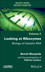 : Looking at Ribozymes, Buch