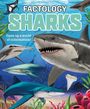 Button Books: Factology: Sharks, Buch