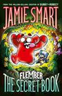 Jamie Smart: Flember 1: The Secret Book (from the million-selling Jamie Smart, Illustrator of the Year), Buch