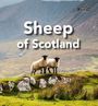 Sarah O'Connor: Sheep of Scotland, Buch