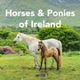 Sarah O'Connor: Horses and Ponies of Ireland, Buch