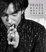 Steve Parke: Prince: Black, White, Color, Buch