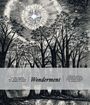 „Wonderment“ steht zentral, mit Bäumen darunter und einem strahlenden Himmel darüber.