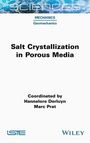 : Salt Crystallization in Porous Media, Buch