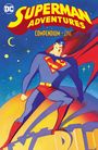 Paul Dini: Superman Adventures Compendium One, Buch