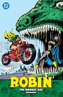 Bob Rozakis: Robin: The Bronze Age Omnibus (New Edition), Buch