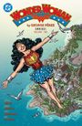 "WONDER WOMAN by GEORGE PÉREZ OMNIBUS VOLUME TWO". Eine lächelnde Frau fliegt über eine Küstenstadt mit Möwen.