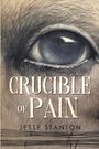 Jesse Stanton: Crucible of Pain, Buch