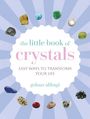 Golnaz Alibagi: The Little Book of Crystals, Buch