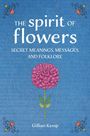 „The spirit of flowers. Secret meanings, messages, and folklore. Gillian Kemp.“ Illustration: Rosa Blume, blauem Hintergrund.