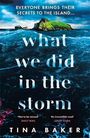 Tina Baker: What We Did In The Storm, Buch