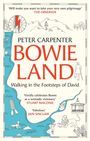 'Will make you want to take your very own pilgrimage' - The Observer. 'Vividly celebrates Bowie' - Stuart Maconie. Illustration zeigt eine Landschaft mit Fluss.