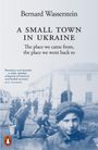 Bernard Wasserstein: A Small Town in Ukraine, Buch