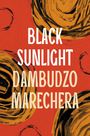 Dambudzo Marechera: Black Sunlight, Buch