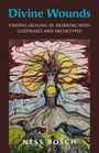 Ness Bosch: Divine Wounds, Buch