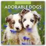 Robin Red: Adorable Dogs - Liebenswerte Hunde 2025 - 16-Monatskalender, KAL