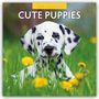 Robin Red: Cute Puppies - Niedliche Hundewelpen 2025 - 16-Monatskalender, KAL