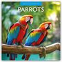 Robin Red: Parrots - Papageien 2025 - 16-Monatskalender, KAL