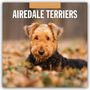 : Airdale Terriers - Airdale Terrier 2025 - 16-Monatskalender, KAL