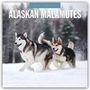 : Alaskan Malamutes - Alaskischer Malamute 2025 - 16-Monatskalender, KAL